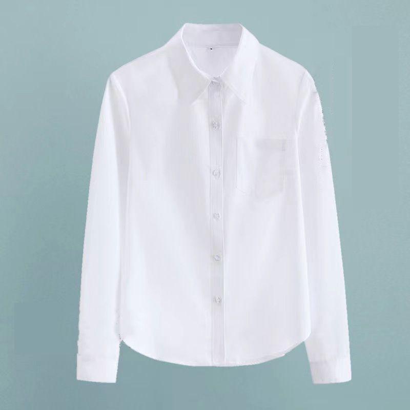 Shirts | Mens/Womens Eco Cotton Poplin Shirt Clothing Mens